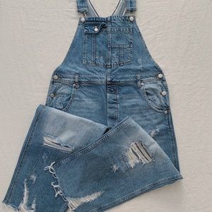 Free People Baggy Boyfriend Wide Leg Overalls 28